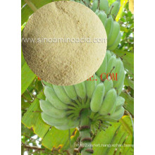 Amino Acid Compound Organic Fertilizer